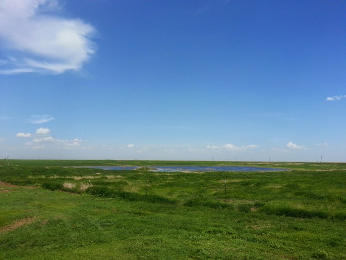 West Texas Prairie